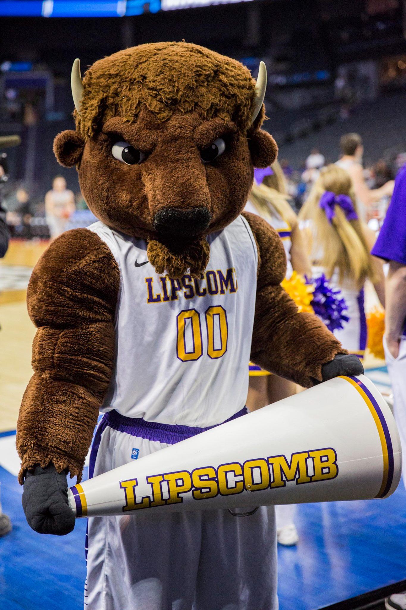 University Spotlight University (LU) Slamstox