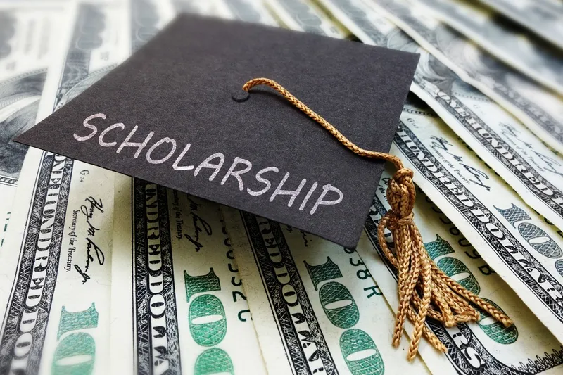 Academic scholarship