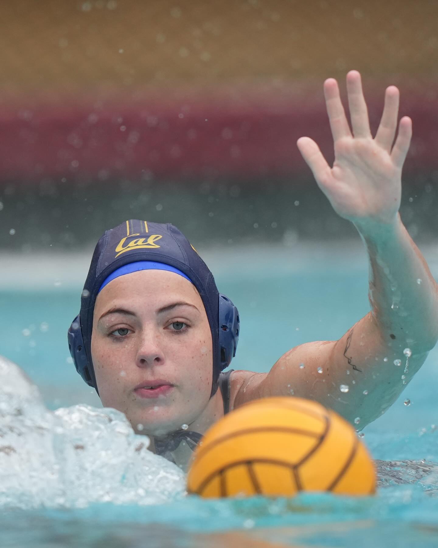 College water polo in the USA - Slamstox